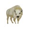 White Buffalo, Realistic Animals, American Bison, Embroidered, Iron on Patch